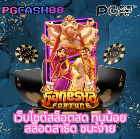เบทฟิกวีไอพี